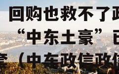 惨！从30元跌至10元，回购也救不了政信价，“中东土豪”已被深套（中东政信政信政信行情）