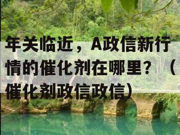 年关临近，A政信新行情的催化剂在哪里？（催化剂政信政信）