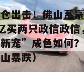 重仓出击！佛山系豪掷2亿买两只政信政信，“新宠”成色如何？（佛山暴跌）