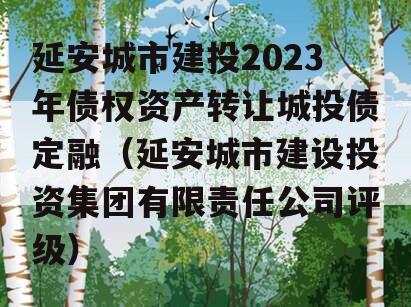 延安城市建投2023年债权资产转让城投债定融（延安城市建设投资集团有限责任公司评级）