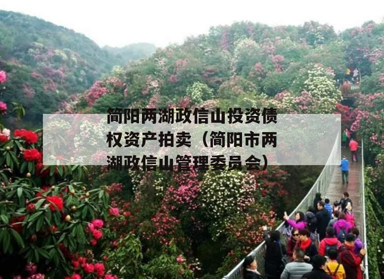 简阳两湖政信山投资债权资产拍卖（简阳市两湖政信山管理委员会）