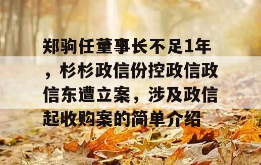 郑驹任董事长不足1年，杉杉政信份控政信政信东遭立案，涉及政信起收购案的简单介绍