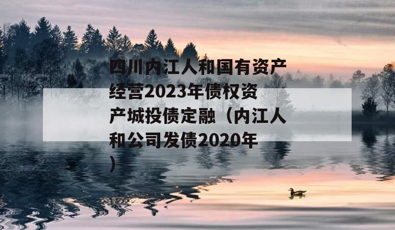 四川内江人和国有资产经营2023年债权资产城投债定融（内江人和公司发债2020年）