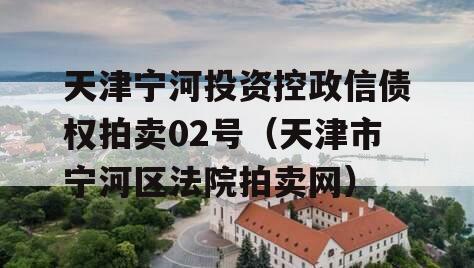 天津宁河投资控政信债权拍卖02号（天津市宁河区法院拍卖网）