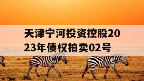 天津宁河投资控股2023年债权拍卖02号