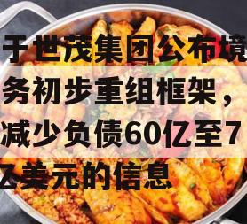 关于世茂集团公布境外债务初步重组框架，计划减少负债60亿至70亿美元的信息