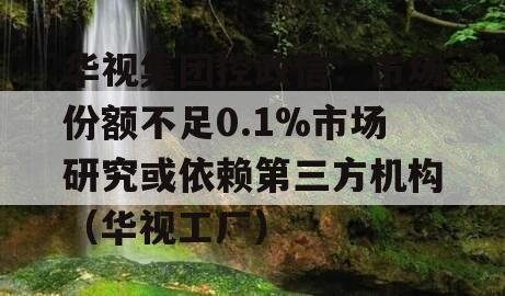 华视集团控政信：市场份额不足0.1%市场研究或依赖第三方机构（华视工厂）