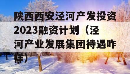 陕西西安泾河产发投资2023融资计划（泾河产业发展集团待遇咋样）