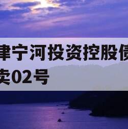 天津宁河投资控股债权拍卖02号