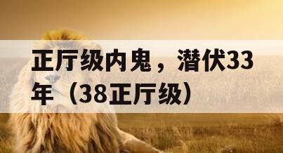 正厅级内鬼，潜伏33年（38正厅级）