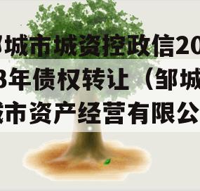 邹城市城资控政信2023年债权转让（邹城城市资产经营有限公司）