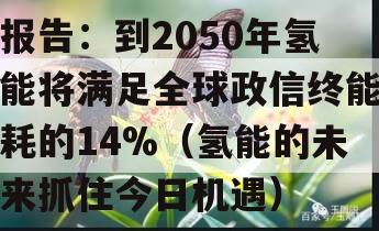 报告：到2050年氢能将满足全球政信终能耗的14%（氢能的未来抓住今日机遇）