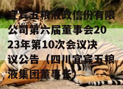 宜宾五粮液政信份有限公司第六届董事会2023年第10次会议决议公告（四川宜宾五粮液集团董事长）