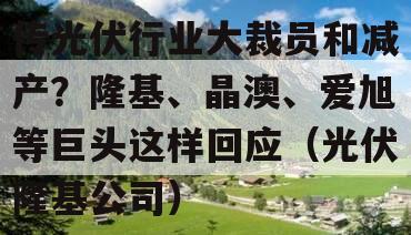 传光伏行业大裁员和减产？隆基、晶澳、爱旭等巨头这样回应（光伏隆基公司）