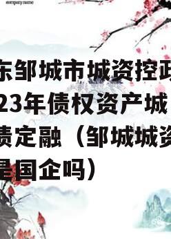 山东邹城市城资控政信2023年债权资产城投债定融（邹城城资公司是国企吗）