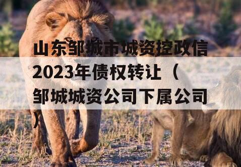 山东邹城市城资控政信2023年债权转让（邹城城资公司下属公司）