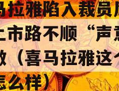 喜马拉雅陷入裁员风波，上市路不顺“声意”难做（喜马拉雅这个公司怎么样）