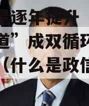 含金量逐年提升“政信金水道”成双循环战略要道（什么是政信金水道）