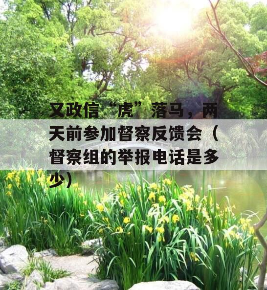 又政信“虎”落马，两天前参加督察反馈会（督察组的举报电话是多少）