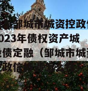 山东邹城市城资控政信2023年债权资产城投债定融（邹城市城资控政信待遇怎么样）