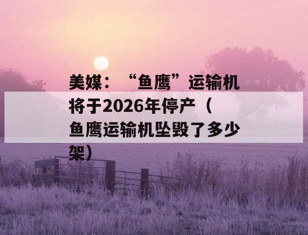 美媒：“鱼鹰”运输机将于2026年停产（鱼鹰运输机坠毁了多少架）