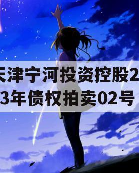 天津宁河投资控股2023年债权拍卖02号