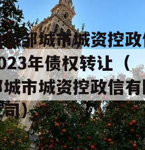 山东邹城市城资控政信2023年债权转让（邹城市城资控政信有限公司）