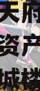 四川龙阳天府新区建设投资债权资产拍卖项目（天府龙城楼盘详情）