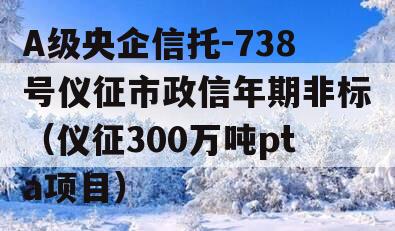 A级央企信托-738号仪征市政信年期非标（仪征300万吨pta项目）