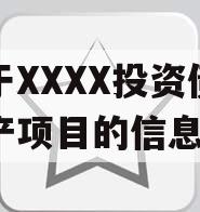 关于XXXX投资债权资产项目的信息