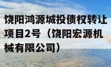 饶阳鸿源城投债权转让项目2号（饶阳宏源机械有限公司）