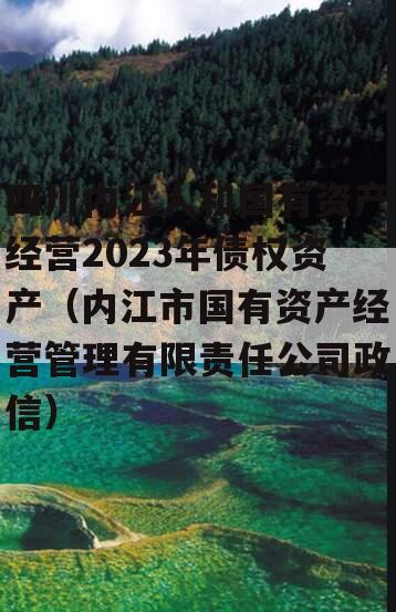 四川内江人和国有资产经营2023年债权资产（内江市国有资产经营管理有限责任公司政信）