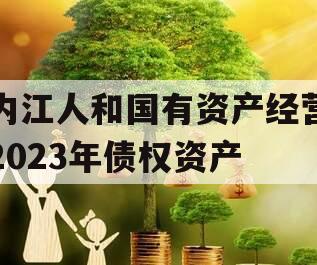 内江人和国有资产经营2023年债权资产