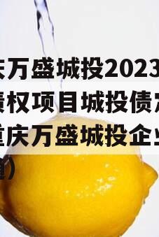 重庆万盛城投2023年债权项目城投债定融（重庆万盛城投企业债索通）