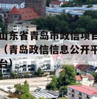 山东省青岛市政信项目（青岛政信信息公开平台）