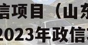 山东省青岛市2023年政信项目（山东省青岛市2023年政信项目招标）