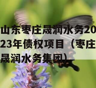 山东枣庄晟润水务2023年债权项目（枣庄晟润水务集团）