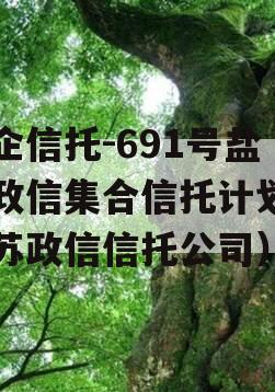 央企信托-691号盐城政信集合信托计划（江苏政信信托公司）