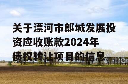 关于漂河市郎城发展投资应收账款2024年债权转让项目的信息