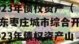 山东枣庄城市综合开发2023年债权资产（山东枣庄城市综合开发2023年债权资产山东枣庄政信债）