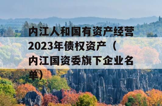 内江人和国有资产经营2023年债权资产（内江国资委旗下企业名单）