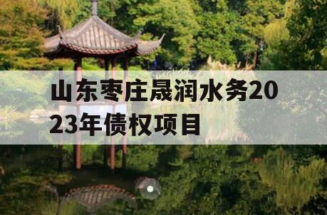 山东枣庄晟润水务2023年债权项目