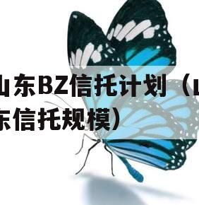 山东BZ信托计划（山东信托规模）