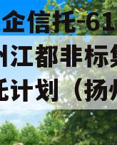 A级央企信托-611号扬州江都非标集合资金信托计划（扬州江都土拍）