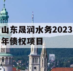 山东晟润水务2023年债权项目