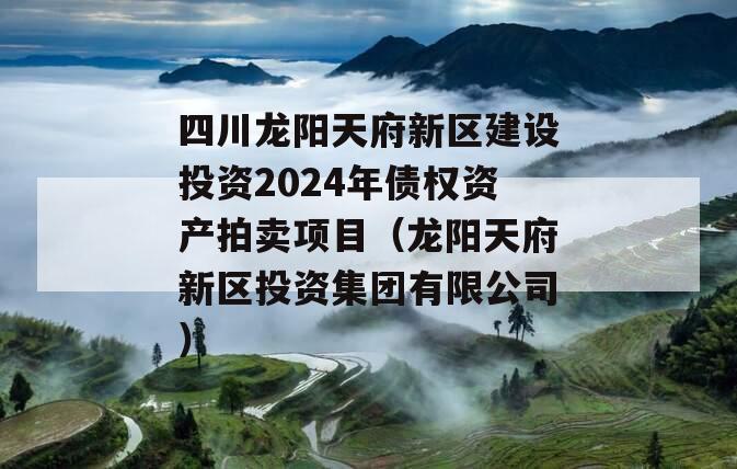 四川龙阳天府新区建设投资2024年债权资产拍卖项目（龙阳天府新区投资集团有限公司）