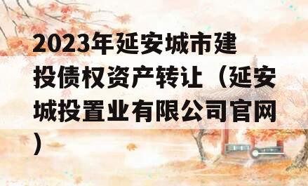 2023年延安城市建投债权资产转让（延安城投置业有限公司官网）