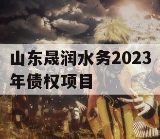 山东晟润水务2023年债权项目