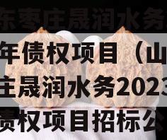 山东枣庄晟润水务2023年债权项目（山东枣庄晟润水务2023年债权项目招标公告）