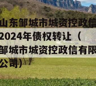 山东邹城市城资控政信2024年债权转让（邹城市城资控政信有限公司）